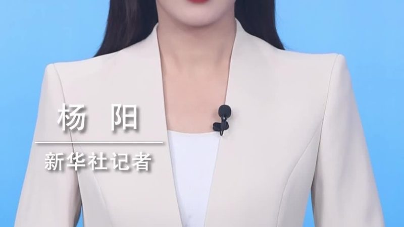 数据治理平台：核心功能参数对比解析**